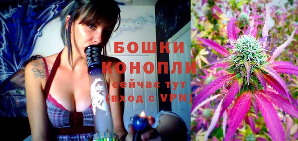 индика Магадан