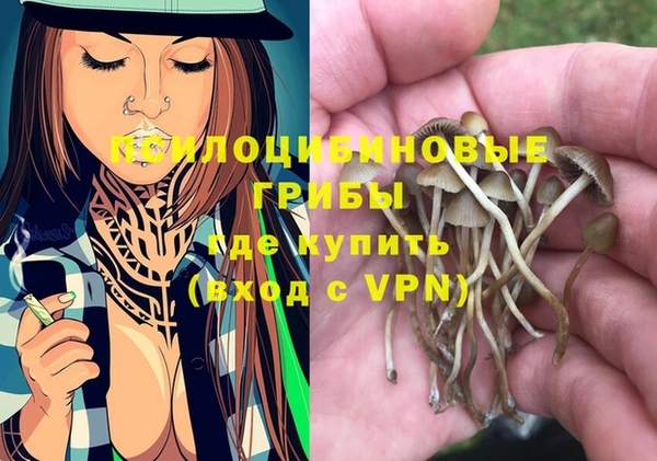 спайс Майский
