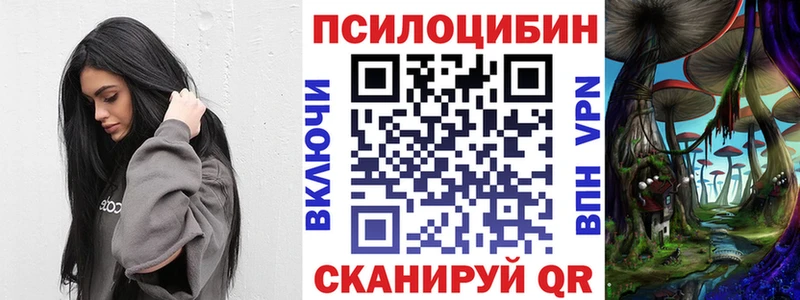 Псилоцибиновые грибы Cubensis  Воткинск 