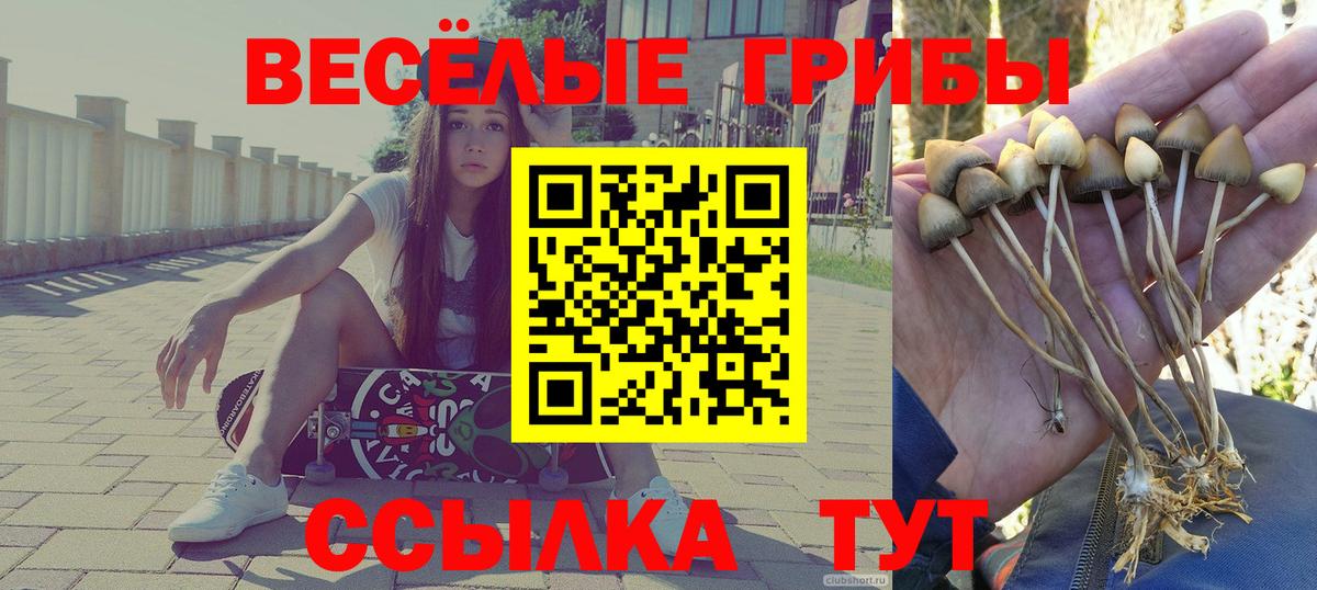 Галлюциногенные грибы GOLDEN TEACHER  Вход с VPN  купить закладку  Галлюциногенные грибы мухоморы  Воткинск 